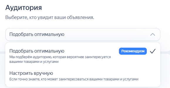 варианты настройки аудитории в Директе